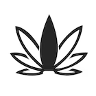 allegany-medical-marijuana-dispensary