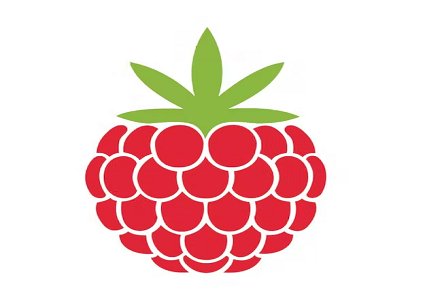 raspberry-roots