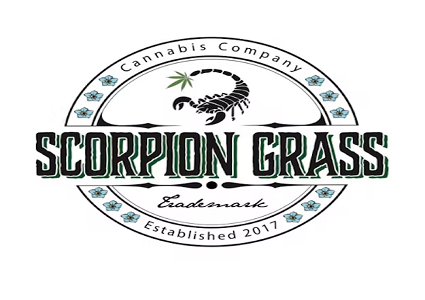 scorpion-grass