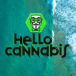 Hello Cannabis - Vista