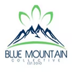 blue-mountain-collective-2