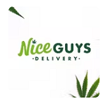 nice-guys-delivery-5