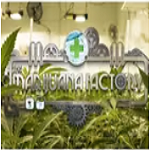 the-marijuana-factory
