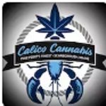 calico-cannabis-1