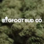 Big Foot Bud Company