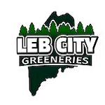 leb-city-greeneries