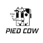 pied-cow