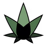 black-cat-cannabis-2