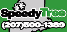 speedy-tree-marijuana-delivery