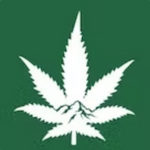 Rocky Mountain Cannabis - Anthony